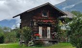 Tocht Stappen Chamonix-Mont-Blanc - J8 - Cascade du Dard - Photo 17