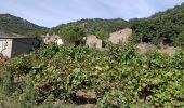 Tocht Wegfiets Fondamente - Roqueredonde, Luna, Avène  - Photo 2