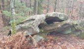 Tocht Stappen Fontainebleau - Rocher Fourceau-Petit Mont Chauvet SR210523Ve?? fmg - Photo 10