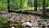 Trail Walking Eupen - Promenade de la forêt des ducs   - Photo 6