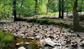 Tocht Stappen Eupen - Promenade de la forêt des ducs   - Photo 6