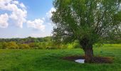 Tocht Stappen Nijvel - Balade à Monstreux - Nivelles - Photo 3