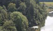 Trail On foot Bouillon - Promenade de la Ramonette et arboretum 8 - Photo 5