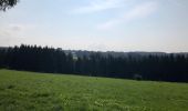 Trail Walking Malmedy - La cascade du Bayehon  - Photo 16