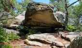 Percorso Marcia Fontainebleau - Fontainebleau sentier Denecourt 8 - Photo 4