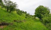 Randonnée A pied Beverungen - Erlesene Natur - Wo der Bock zum Gärtner wird - Photo 7