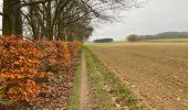 Randonnée Marche Holsbeek - Holsbeek 15 km - Photo 9