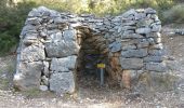 Tour Wandern Évenos - le Broussan cap gros - Photo 2