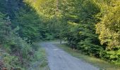 Excursión Senderismo Chorges - Bois du Ruban (Clot Clavary - crête du Ruban) - Photo 16