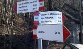 Tour Zu Fuß Masera - A08 - Masera località Ranco - Alpe Pescia - Photo 2