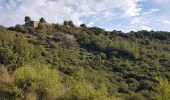 Tour Pfad La Seyne-sur-Mer - fabregas, sémaphore du cap Sicié. sentier du littoral  - Photo 18