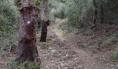 Trail Walking Le Perthus - penissar - Photo 12