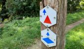 Trail Walking Riemst - Kanne, sans limite   - Photo 15