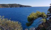 Trail Walking Nice - Ballade chemin des douaniers Nice-Villefranche  - Photo 7