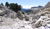 Tocht Stappen Châtillon-en-Diois - Combau-TêteChevalière 05-05-2018 - Photo 11