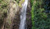 Tour Wandern Kukunjare - chutes eau St Vincent - Photo 8