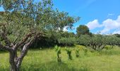 Tour Wandern Saint-Bonnet-du-Gard - mon 8 du pont du Gard  - Photo 12