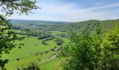 Trail Walking Esneux - La Boucle de l'Ourthe - Photo 6