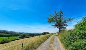 Tocht Stappen Durbuy - Balade à Villers Sainte Gertrude - Photo 18