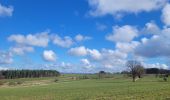 Randonnée Marche Houffalize - rando cetturu - Photo 19