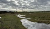 Randonnée Marche Sluis - Cadzand Bad Niewvliet Bad Zwarte polders 16,3 km - Photo 4