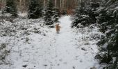 Tocht Stappen Barr - en partant du carrefour de la Bloss - Photo 6