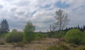 Trail Walking Waimes - petit tour en Brackvenn  - Photo 3