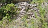 Trail Walking Belgentier - Pas de Belgentier  - Photo 14