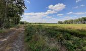 Randonnée Marche Viroinval - Forêt de Nismes - Regniessart - Photo 5