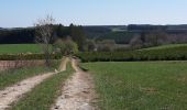 Tour Wandern Léglise - Volaiville - Winville - Photo 4