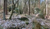 Trail On foot Heinersreuther Forst - Teufelsloch-Unterwaiz - Photo 5