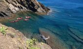 Trail Walking Banyuls-sur-Mer - Banyuls port a Collioure - Photo 4