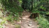 Trail Walking Metzeral - lac de schiessrothried par vallée de la wormsa  - Photo 16