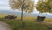 Tour Wandern Epfig - entre forêt vigne et prairie  - Photo 3