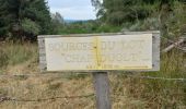 Tocht Stappen Mont Lozère et Goulet - Le Bleymard - Photo 1