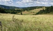 Tocht Noords wandelen Massegros Causses Gorges - Point sublime et tour du Causse de Sauveterre - Photo 6