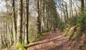 Tour Wandern Gedinne - Balade à Malvoisin - Gedinne - Photo 4