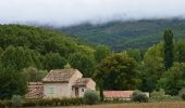 Randonnée Marche Céreste - Céreste - Prieuré Carluc - Photo 3