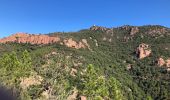 Trail Walking Saint-Raphaël - Collines et vallons de l'Esterel - Photo 11