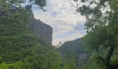 Trail Walking Val-Buëch-Méouge - ANTONAVES,  LES GORGES DE LA MEOUGE ,  ROCHER DU CHATEAU o s - Photo 14