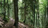 Trail Walking Estaing - Ruines de Lientrans - Photo 1