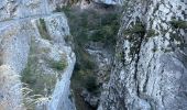 Trail Walking Castellane - Thyrs : sommet du Robion - Photo 3