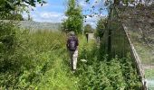 Tocht Stappen Huldenberg - Huldenberg Terlanen site naturel Lasne - Photo 10