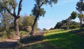 Tour Wandern Pierrefeu-du-Var - SityTrail - Pierrefeu du var - les Baisses - Photo 12