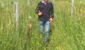 Trail Walking Montigny-le-Tilleul - Sentiers de Montigny le Tilleul - Photo 4