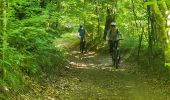 Tocht Elektrische fiets Bœrsch - sortie vtt 1406022 boersch - Photo 6