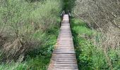 Trail Walking Daverdisse - Rando à Gembes (Daverdisse)  - Photo 5
