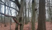 Tour Wandern Comblain-au-Pont - comblain . ferme de raideux . mont . bois de monty . mont . roches noires . comblain   - Photo 3