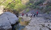 Tour Wandern Tourves - Caramy version courte - Photo 14