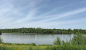 Trail  Saint-Laurent-Nouan - Fat Bike, Saint-laurent-Nouan-Blois-Chambord - Photo 1
